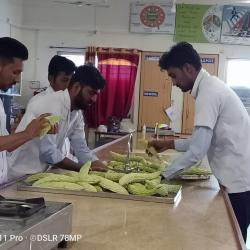 Processing of Bittergourd Pickel by 3rd Sem Students