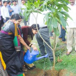 Tree plantation by Hon.Dr.Deepatai Kshirsagar, Hon.Dr.G.V.Salunke.